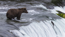 Kanada Alaska