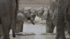 Namibia
