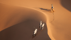 Namibia