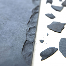 Geparden - Die Schnellsten