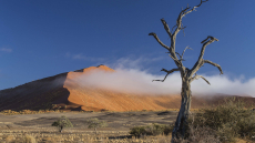 Sehnsucht Afrika
