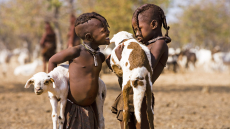 Sehnsucht Afrika