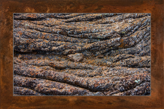 Stricklava auf Galapagos